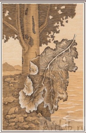 Чинара Лермонтова листок