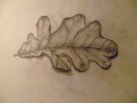 Рисунок осень карандашом для срисовки