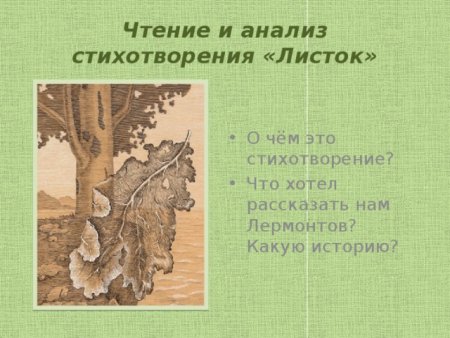 Одинокий осенний лист