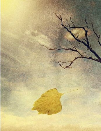 Иллюстрация к стихотворению листок