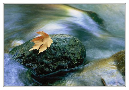 Произведение Михаила Юрьевича Лермонтова листок