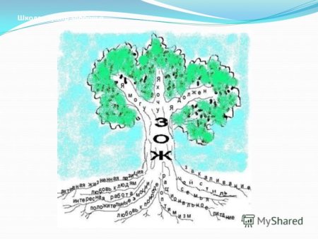 Дерево здоровья образа жизни