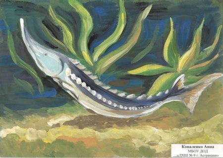 Осетр живопись