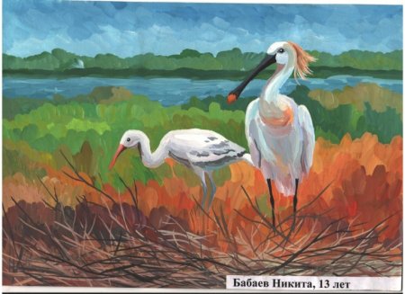 Рисунки на тему Донской край