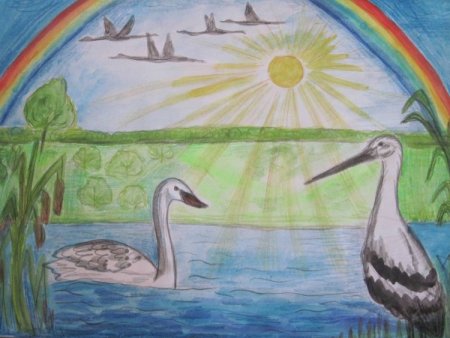 Астраханский заповедник рисунки