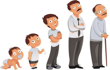 Взросление человека для детей