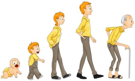 Взросление человека для детей