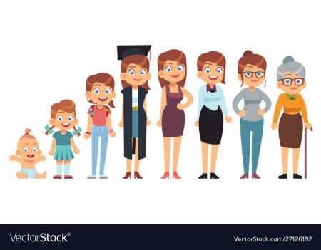 Этапы взросления человека