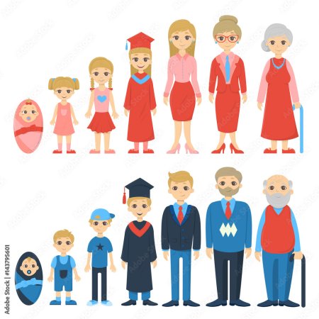 От младенца до старика