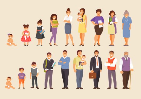 Взросление человека для детей