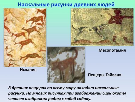 Древние наскальные рисунки древних людей