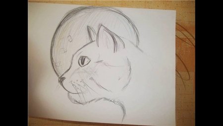 Рисунок на любую тему легкий