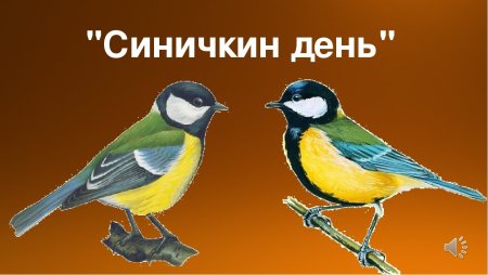 Рисунки к Синичкиному Дню