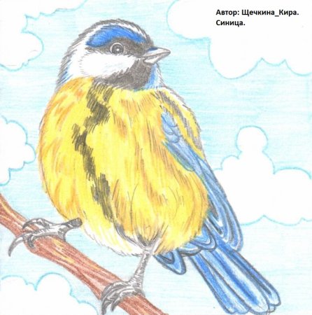 Синица гуашью