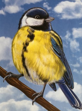 Рисование кормушка для птиц старшая группа