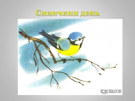 Бианки Синичкин календарь Весна