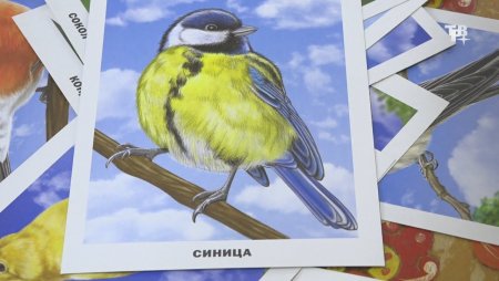 Синичкин день в детском саду рисунок