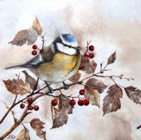 Синичка Зинька Бианки