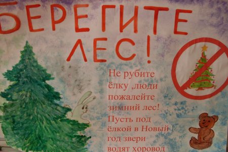 Плакат в защиту ели