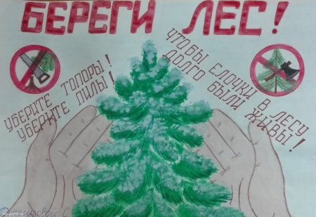 Листовки в защиту елок