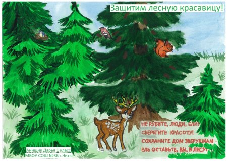 Плакат берегите елку