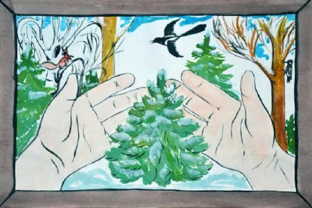 Плакат в защиту елочки