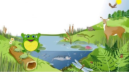 Экосистема для детей