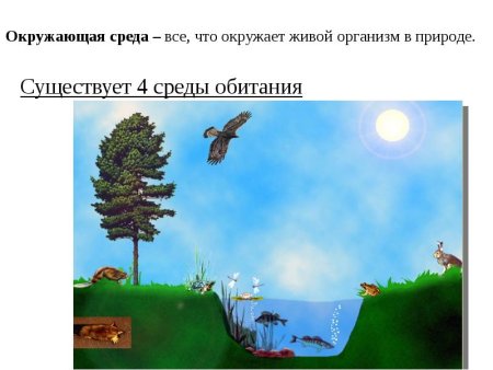 Сферы обитания живых организмов