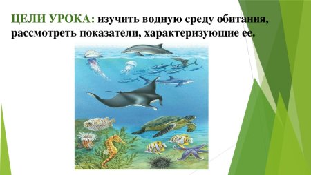 Обитатели водной среды 5 класс биология
