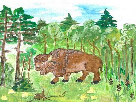 Рисунок смешанных лесов