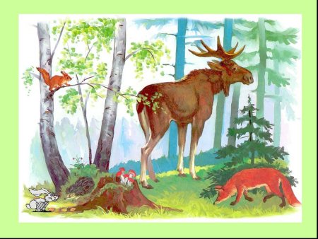 Детский рисунок лес