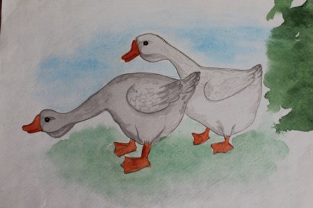 Рисование гуся для детей