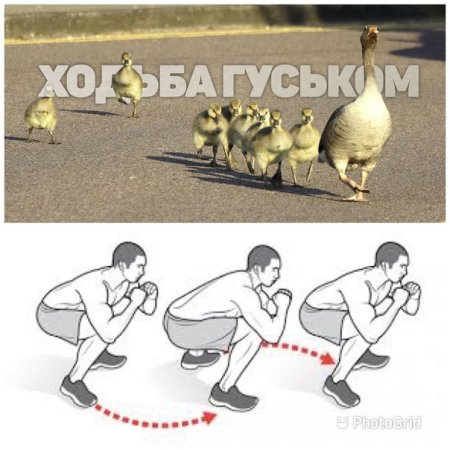 Идти гуськом рисунок