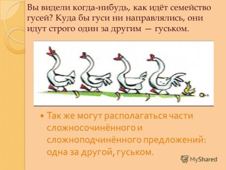 Что означает выражение идти гуськом