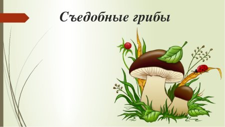 Титульный лист съедобные и несъедобные грибы