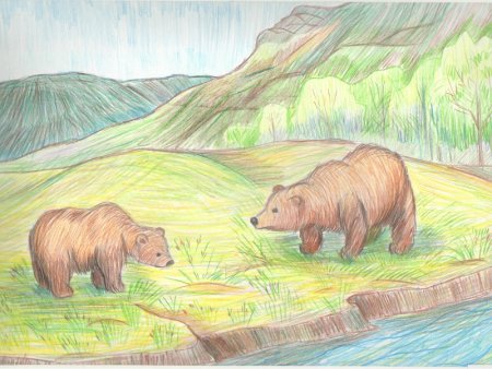 Заповедник рисунок