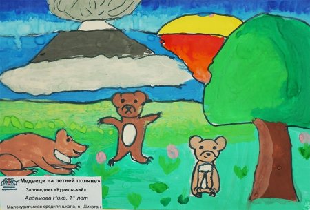 Рисуем заповедную Россию конкурс рисунков