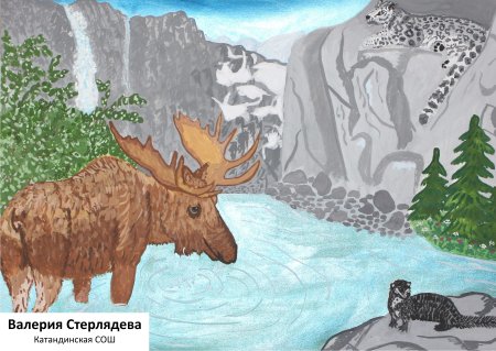 Мир заповедной природы России