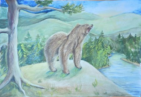 Мир заповедной природы России