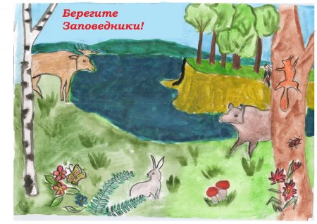 Заповедник рисунок