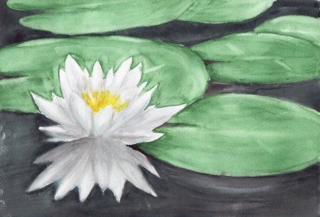 Зеркало природы конкурс рисунок