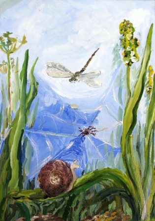 Зеркало природы конкурс рисунок