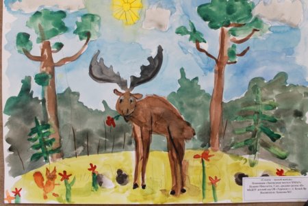 Зеркало природы конкурс рисунок