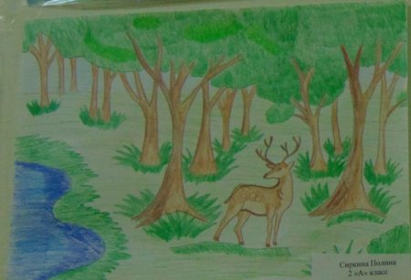 Рисунок природа родного края на конкурс