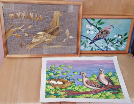 Зеркало природы конкурс