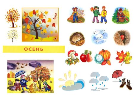 Признаки осени для детей
