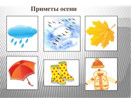 Приметы осени для дошкольников в картинках