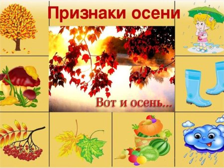Осень признаки осени
