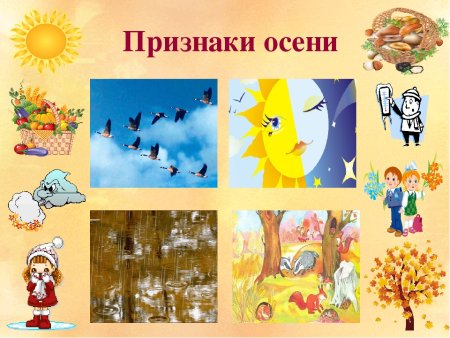 Признаки осени для детского сада