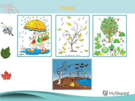 Признаки осени в картинках